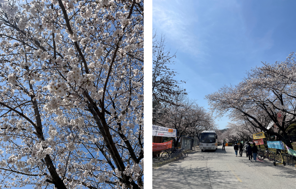 2593d3269adeca170b6801aa3e6b3993_1719313593_5857.png